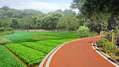 美環(huán)境，惠民生，繪就美麗圩鎮(zhèn)實景圖