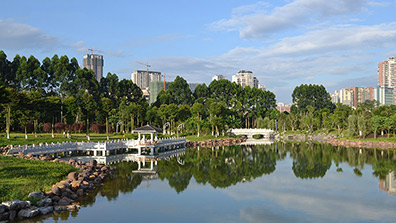 生態(tài)景觀規(guī)劃在海綿城市中的作用